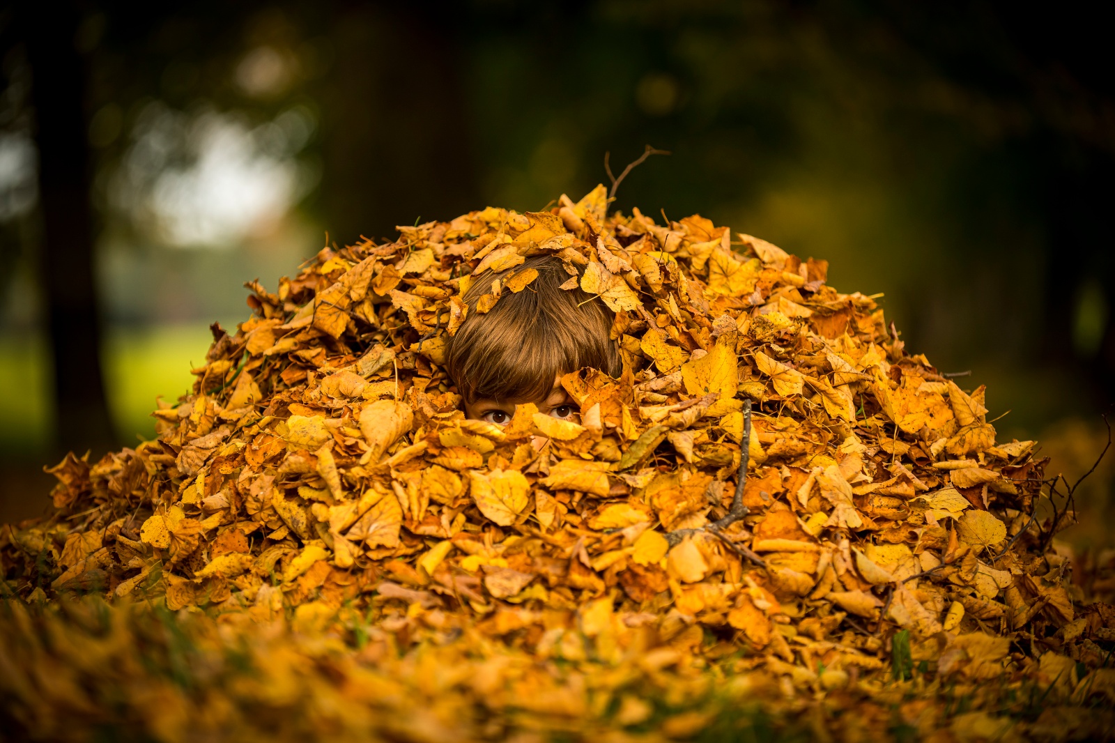 Platz 4 Johann Kerler